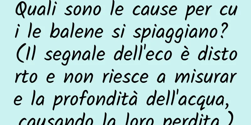 Quali sono le cause per cui le balene si spiaggiano? (Il segnale dell'eco è distorto e non riesce a misurare la profondità dell'acqua, causando la loro perdita.)