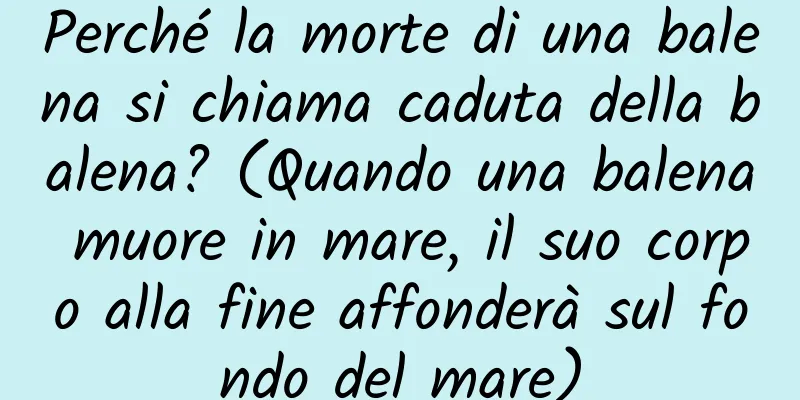 Perché la morte di una balena si chiama caduta della balena? (Quando una balena muore in mare, il suo corpo alla fine affonderà sul fondo del mare)
