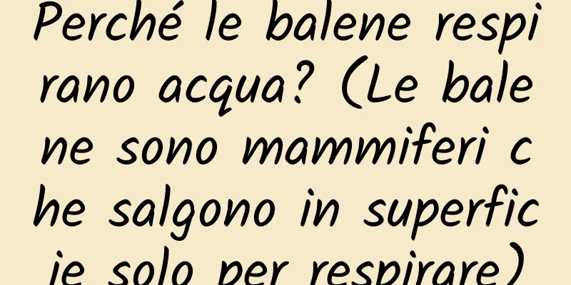 Perché le balene respirano acqua? (Le balene sono mammiferi che salgono in superficie solo per respirare)
