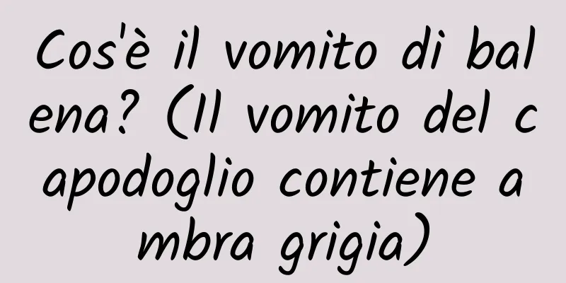 Cos'è il vomito di balena? (Il vomito del capodoglio contiene ambra grigia)