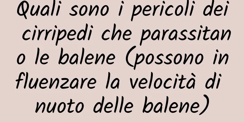 Quali sono i pericoli dei cirripedi che parassitano le balene (possono influenzare la velocità di nuoto delle balene)