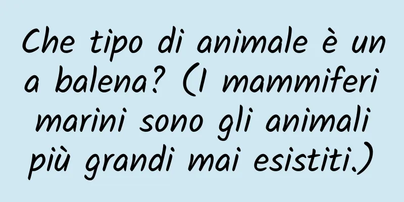 Che tipo di animale è una balena? (I mammiferi marini sono gli animali più grandi mai esistiti.)