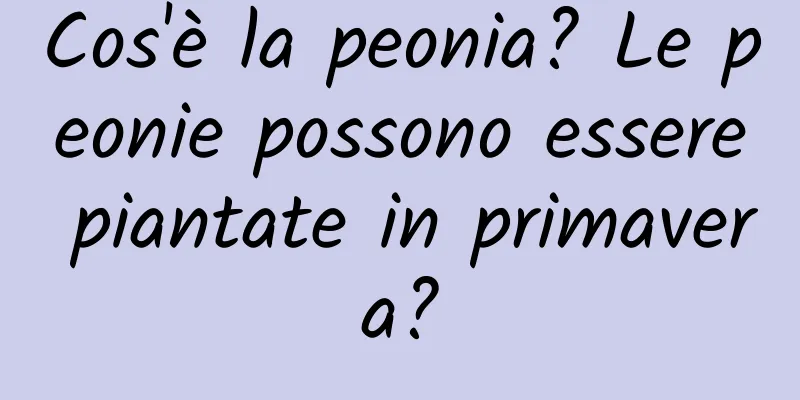 Cos'è la peonia? Le peonie possono essere piantate in primavera?
