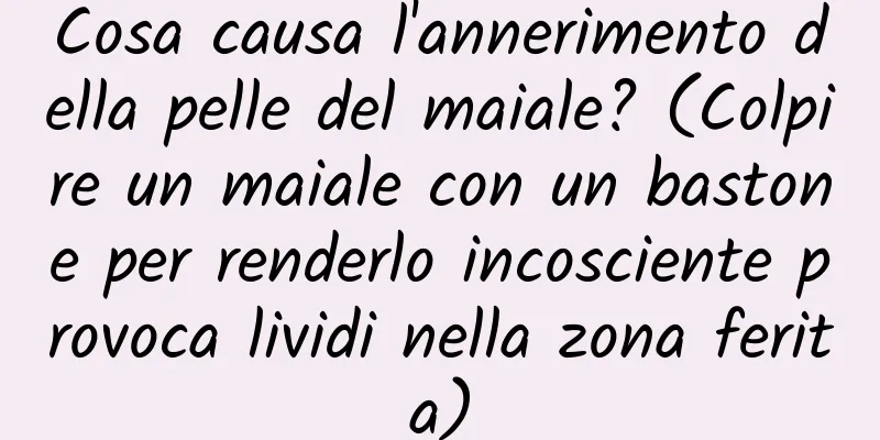Cosa causa l'annerimento della pelle del maiale? (Colpire un maiale con un bastone per renderlo incosciente provoca lividi nella zona ferita)