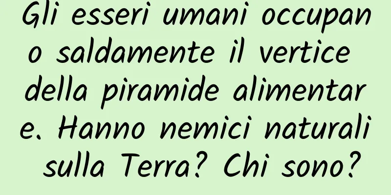 Gli esseri umani occupano saldamente il vertice della piramide alimentare. Hanno nemici naturali sulla Terra? Chi sono?