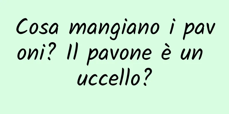 Cosa mangiano i pavoni? Il pavone è un uccello?
