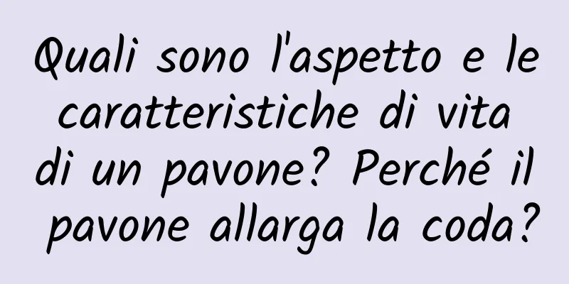 Quali sono l'aspetto e le caratteristiche di vita di un pavone? Perché il pavone allarga la coda?