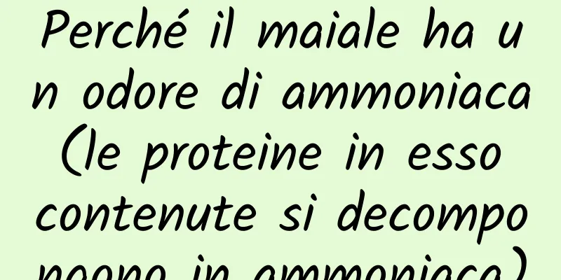 Perché il maiale ha un odore di ammoniaca (le proteine ​​in esso contenute si decompongono in ammoniaca)
