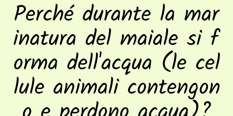 Perché durante la marinatura del maiale si forma dell'acqua (le cellule animali contengono e perdono acqua)?