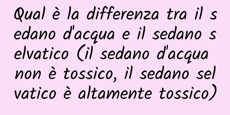 Qual è la differenza tra il sedano d'acqua e il sedano selvatico (il sedano d'acqua non è tossico, il sedano selvatico è altamente tossico)