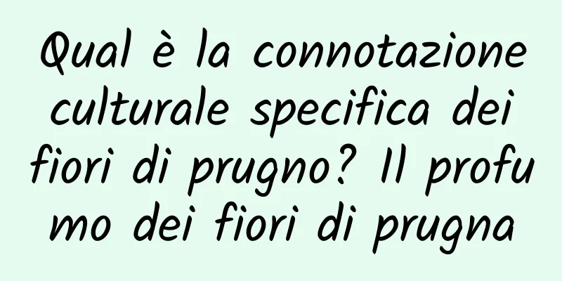 Qual è la connotazione culturale specifica dei fiori di prugno? Il profumo dei fiori di prugna