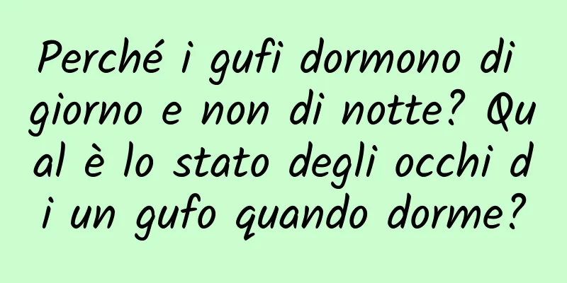 Perché i gufi dormono di giorno e non di notte? Qual è lo stato degli occhi di un gufo quando dorme?