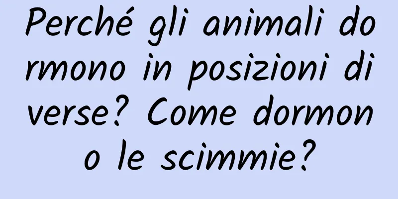 Perché gli animali dormono in posizioni diverse? Come dormono le scimmie?