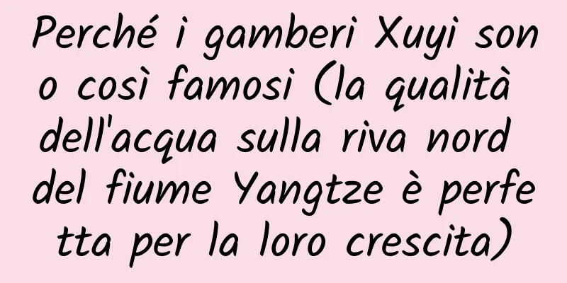 Perché i gamberi Xuyi sono così famosi (la qualità dell'acqua sulla riva nord del fiume Yangtze è perfetta per la loro crescita)