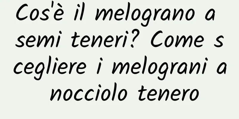 Cos'è il melograno a semi teneri? Come scegliere i melograni a nocciolo tenero