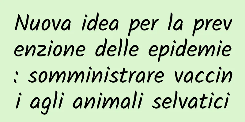 Nuova idea per la prevenzione delle epidemie: somministrare vaccini agli animali selvatici