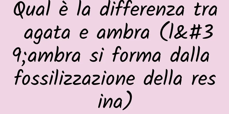 Qual è la differenza tra agata e ambra (l'ambra si forma dalla fossilizzazione della resina)
