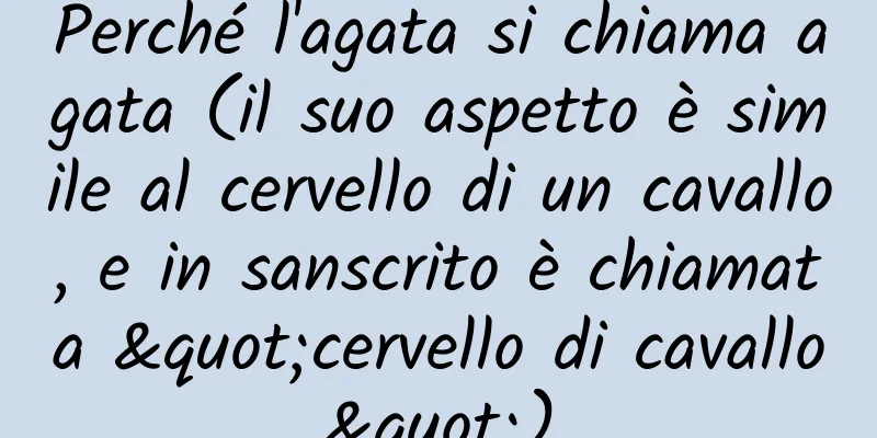 Perché l'agata si chiama agata (il suo aspetto è simile al cervello di un cavallo, e in sanscrito è chiamata "cervello di cavallo")