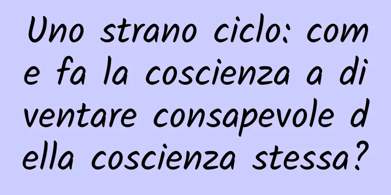 Uno strano ciclo: come fa la coscienza a diventare consapevole della coscienza stessa?