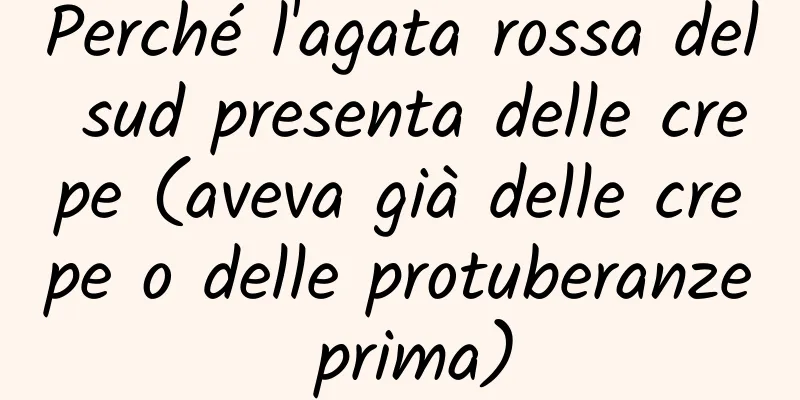 Perché l'agata rossa del sud presenta delle crepe (aveva già delle crepe o delle protuberanze prima)