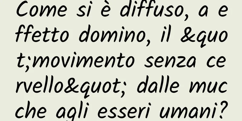 Come si è diffuso, a effetto domino, il "movimento senza cervello" dalle mucche agli esseri umani?