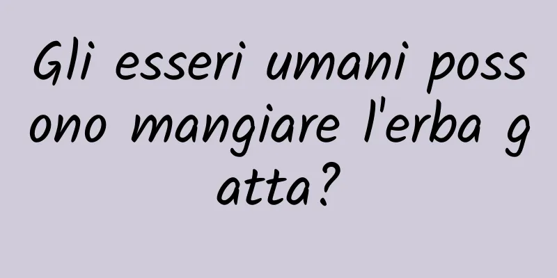 Gli esseri umani possono mangiare l'erba gatta?