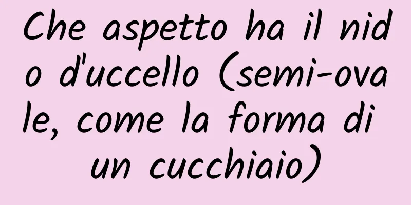 Che aspetto ha il nido d'uccello (semi-ovale, come la forma di un cucchiaio)