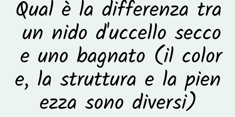Qual è la differenza tra un nido d'uccello secco e uno bagnato (il colore, la struttura e la pienezza sono diversi)