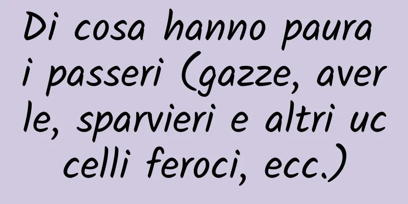 Di cosa hanno paura i passeri (gazze, averle, sparvieri e altri uccelli feroci, ecc.)