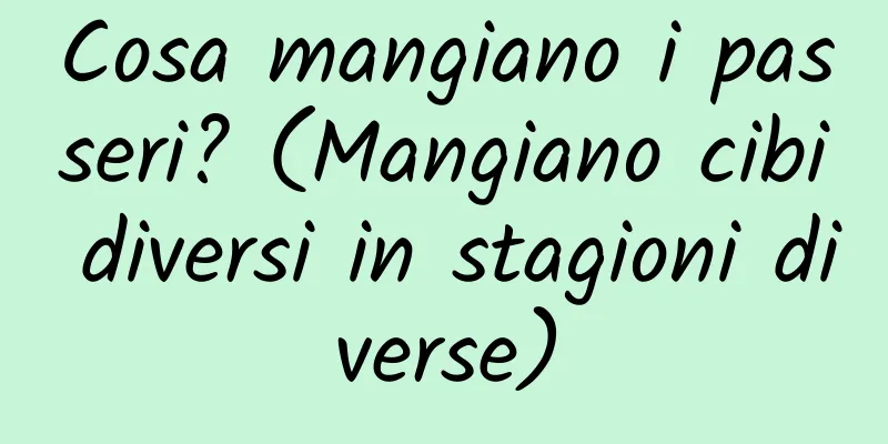 Cosa mangiano i passeri? (Mangiano cibi diversi in stagioni diverse)
