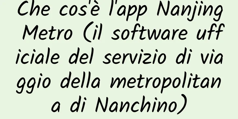 Che cos'è l'app Nanjing Metro (il software ufficiale del servizio di viaggio della metropolitana di Nanchino)