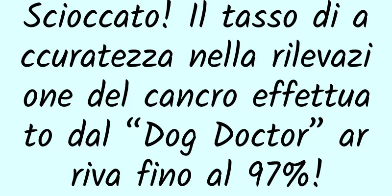 Scioccato! Il tasso di accuratezza nella rilevazione del cancro effettuato dal “Dog Doctor” arriva fino al 97%!