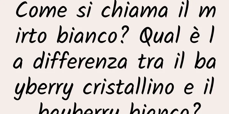Come si chiama il mirto bianco? Qual è la differenza tra il bayberry cristallino e il bayberry bianco?