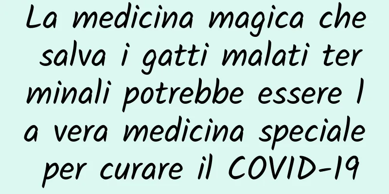 La medicina magica che salva i gatti malati terminali potrebbe essere la vera medicina speciale per curare il COVID-19