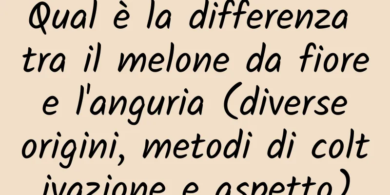 Qual è la differenza tra il melone da fiore e l'anguria (diverse origini, metodi di coltivazione e aspetto)