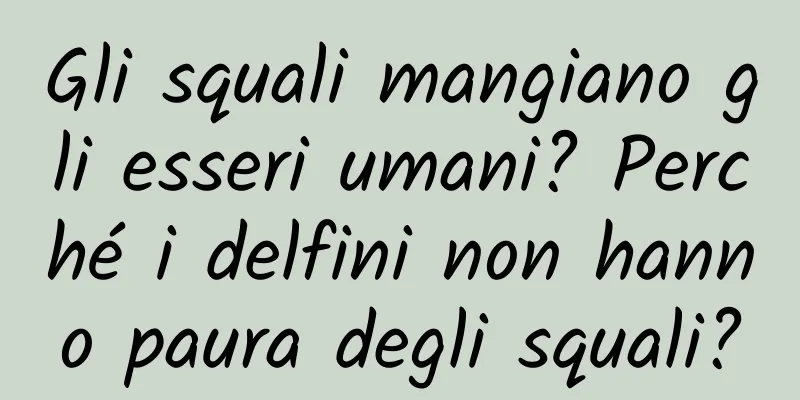 Gli squali mangiano gli esseri umani? Perché i delfini non hanno paura degli squali?