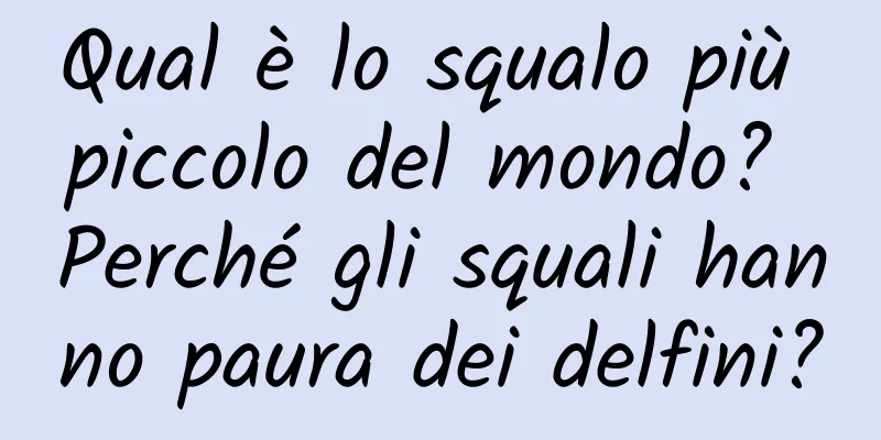 Qual è lo squalo più piccolo del mondo? Perché gli squali hanno paura dei delfini?