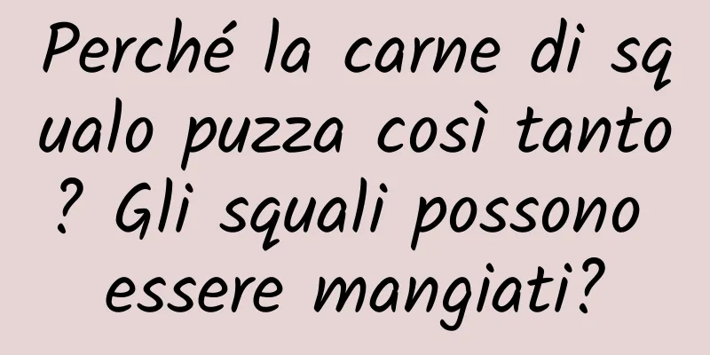 Perché la carne di squalo puzza così tanto? Gli squali possono essere mangiati?