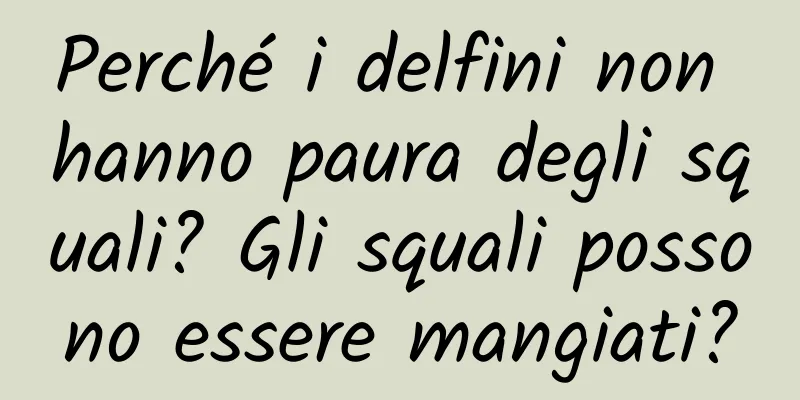 Perché i delfini non hanno paura degli squali? Gli squali possono essere mangiati?