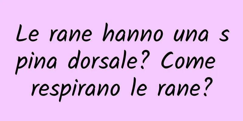 Le rane hanno una spina dorsale? Come respirano le rane?