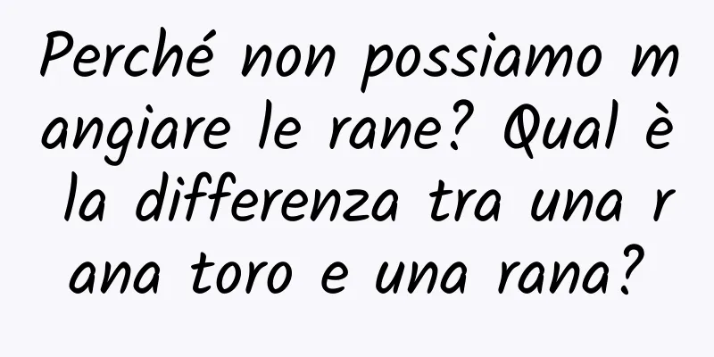 Perché non possiamo mangiare le rane? Qual è la differenza tra una rana toro e una rana?