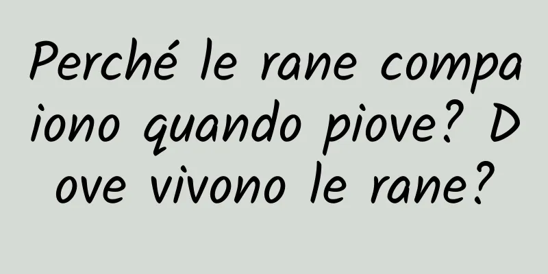 Perché le rane compaiono quando piove? Dove vivono le rane?