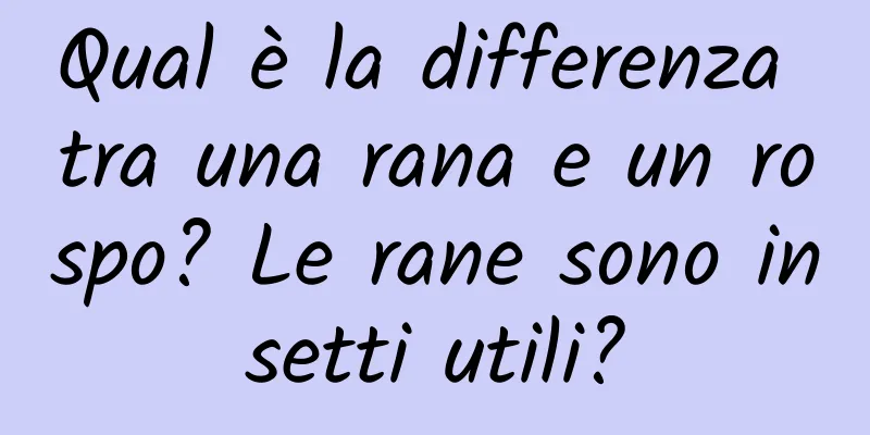 Qual è la differenza tra una rana e un rospo? Le rane sono insetti utili?