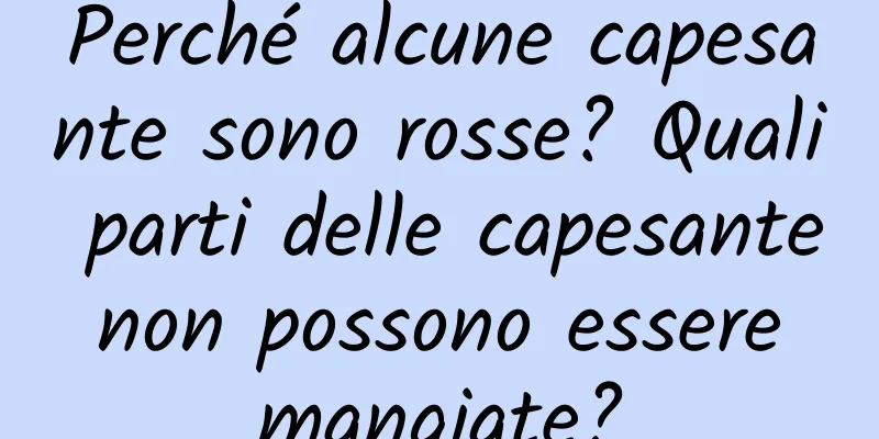 Perché alcune capesante sono rosse? Quali parti delle capesante non possono essere mangiate?