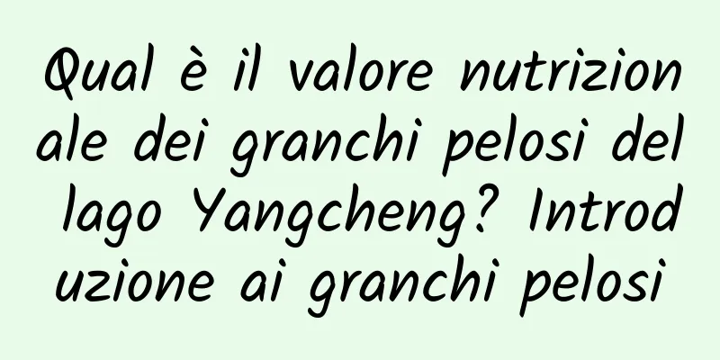 Qual è il valore nutrizionale dei granchi pelosi del lago Yangcheng? Introduzione ai granchi pelosi