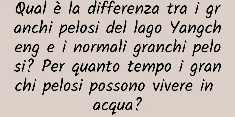 Qual è la differenza tra i granchi pelosi del lago Yangcheng e i normali granchi pelosi? Per quanto tempo i granchi pelosi possono vivere in acqua?