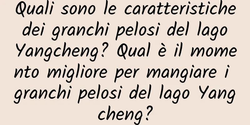 Quali sono le caratteristiche dei granchi pelosi del lago Yangcheng? Qual è il momento migliore per mangiare i granchi pelosi del lago Yangcheng?