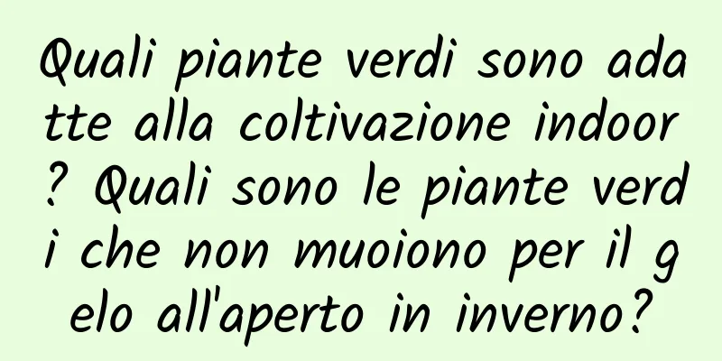 Quali piante verdi sono adatte alla coltivazione indoor? Quali sono le piante verdi che non muoiono per il gelo all'aperto in inverno?