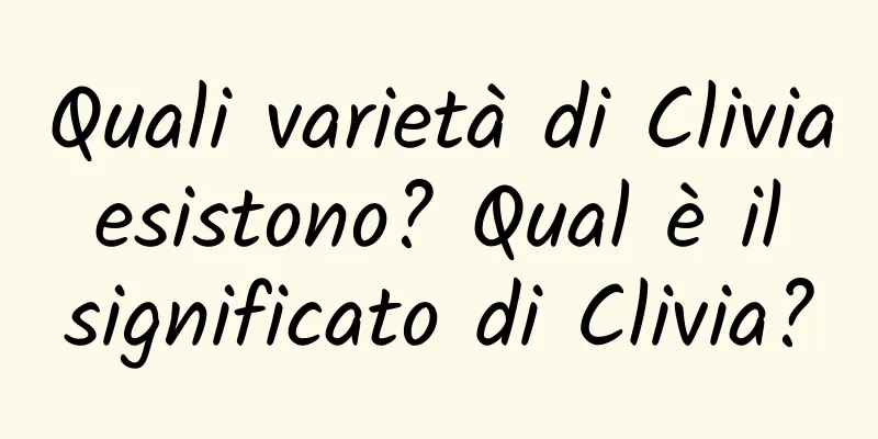 Quali varietà di Clivia esistono? Qual è il significato di Clivia?