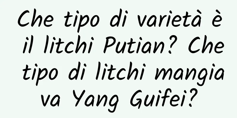 Che tipo di varietà è il litchi Putian? Che tipo di litchi mangiava Yang Guifei?